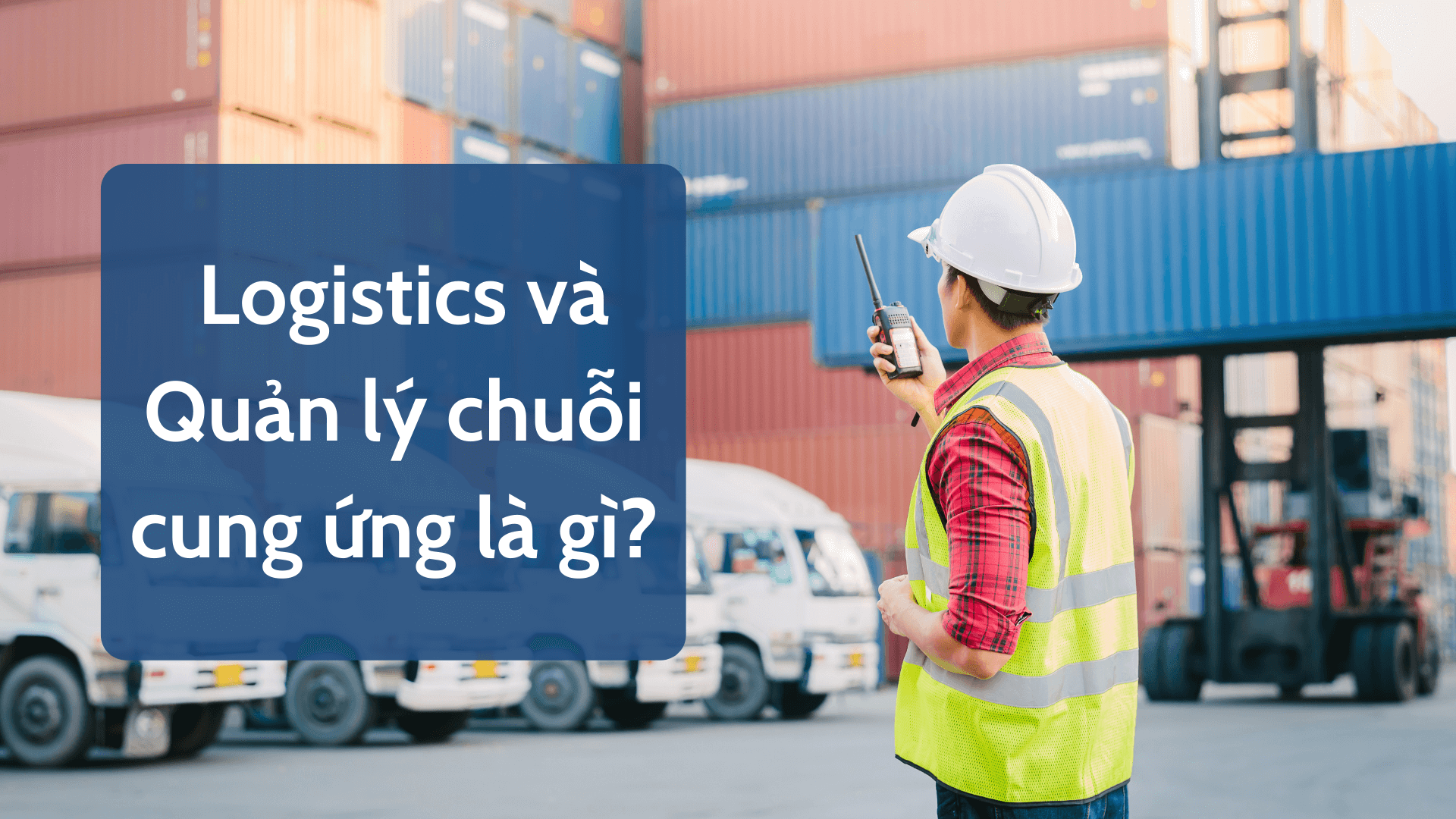 Ngành logistics và quản lý chuỗi cung ứng là gì? Tầm quan trọng của ngành logistics