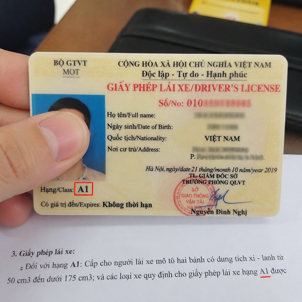 Loại hình a11 là gì và cách sử dụng chính xác